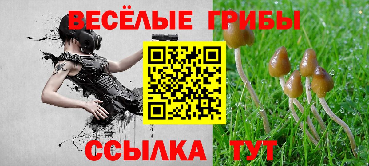 Галлюциногенные грибы мицелий  Вход с VPN  Южно-Сахалинск 