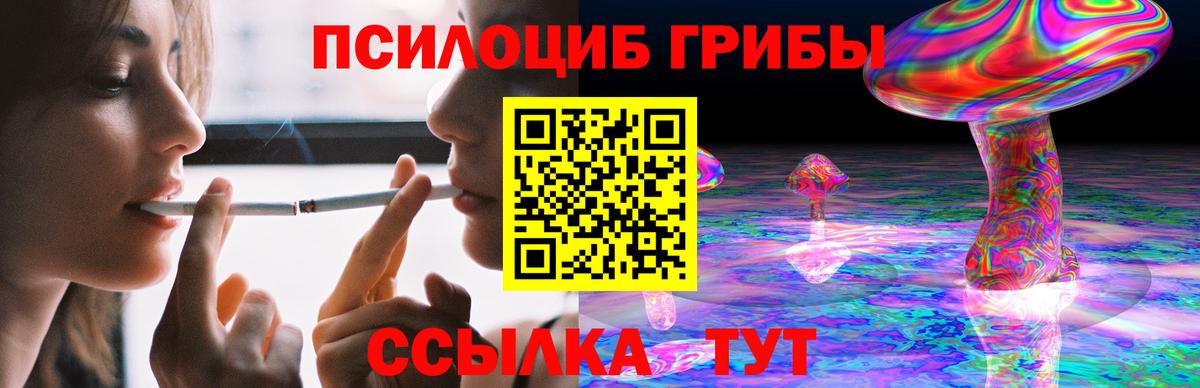 Псилоцибиновые грибы Psilocybine cubensis Южно-Сахалинск